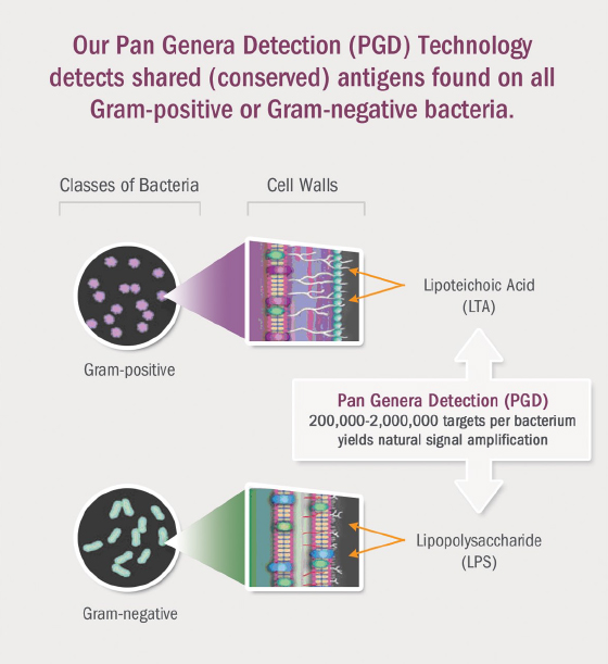 PGD Technology